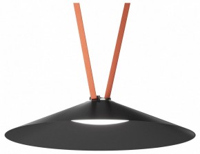 Накладной светильник Denkirs Belty Flow DK5668-BK в Губахе - gubaha.ok-mebel.com | фото