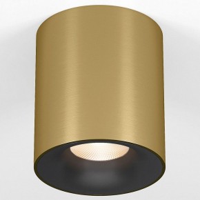 Накладной светильник Elektrostandard Primo 25116/LED в Губахе - gubaha.ok-mebel.com | фото