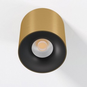 Накладной светильник Elektrostandard Primo 25116/LED в Губахе - gubaha.ok-mebel.com | фото