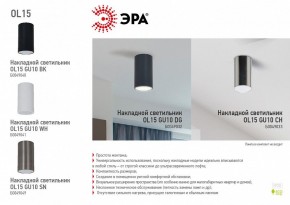 Накладной светильник Эра OL15 GU10 BK Б0049040 в Губахе - gubaha.ok-mebel.com | фото 5