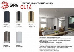 Накладной светильник Эра OL16 GU10 SN Б0049048 в Губахе - gubaha.ok-mebel.com | фото 2