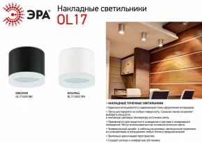 Накладной светильник Эра OL17 GX53 BK Б0049028 в Губахе - gubaha.ok-mebel.com | фото 3