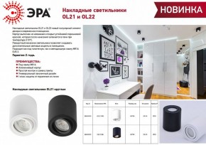 Накладной светильник Эра OL21 BK Б0054393 в Губахе - gubaha.ok-mebel.com | фото 2