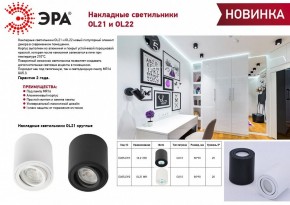 Накладной светильник Эра OL22 BK Б0054395 в Губахе - gubaha.ok-mebel.com | фото 3