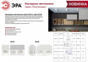 Накладной светильник Эра OL24-1 WH Б0054381 в Губахе - gubaha.ok-mebel.com | фото 2