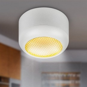 Накладной светильник Эра  OL56 WH в Губахе - gubaha.ok-mebel.com | фото 8