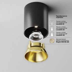 Накладной светильник Maytoni Alfa LED C064CL-12W4K-RD-B в Губахе - gubaha.ok-mebel.com | фото 3