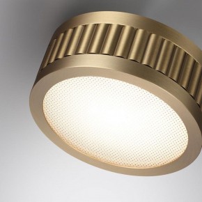 Накладной светильник Odeon Light Manchester 7013/7CL в Губахе - gubaha.ok-mebel.com | фото 5