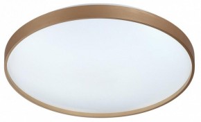 Накладной светильник Sonex Gaby 7783/EL в Губахе - gubaha.ok-mebel.com | фото 4