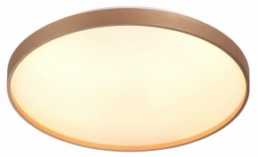 Накладной светильник Sonex Gaby 7783/EL в Губахе - gubaha.ok-mebel.com | фото 5