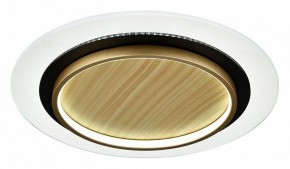 Накладной светильник Sonex Sunny 7731/80L в Губахе - gubaha.ok-mebel.com | фото