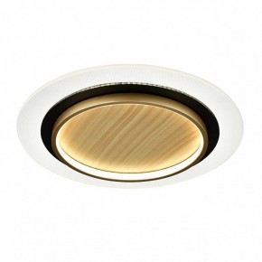 Накладной светильник Sonex Sunny 7731/80L в Губахе - gubaha.ok-mebel.com | фото 4