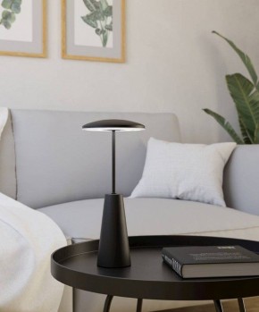 Настольная лампа декоративная Eglo PICCOLA 900925 в Губахе - gubaha.ok-mebel.com | фото 4