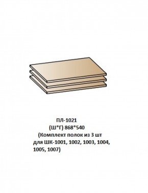 ПЛ-1021 (Комплект полок из 3 шт для ШК-1001, 1002, 1003, 1004, 1005, 1007) в Губахе - gubaha.ok-mebel.com | фото