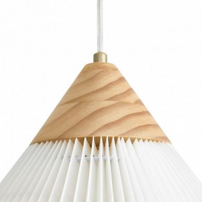 Подвесной светильник Freya Kinsley FR5533PL-01BS в Губахе - gubaha.ok-mebel.com | фото 8