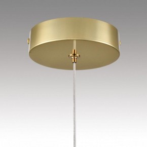 Подвесной светильник Lumion TRINO 8080/1A в Губахе - gubaha.ok-mebel.com | фото 9