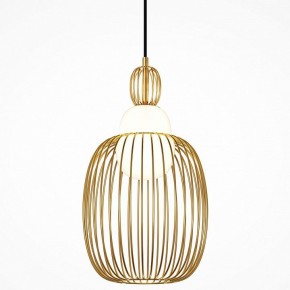 Подвесной светильник Maytoni Levitation MOD376PL-01G1 в Губахе - gubaha.ok-mebel.com | фото
