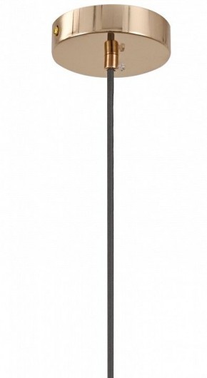 Подвесной светильник Moderli Charm V11176-1P в Губахе - gubaha.ok-mebel.com | фото 8