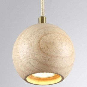 Подвесной светильник Odeon Light Caucho 7061/1 в Губахе - gubaha.ok-mebel.com | фото 2