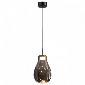 Подвесной светильник Odeon Light Nave 5098/4LC в Губахе - gubaha.ok-mebel.com | фото 2