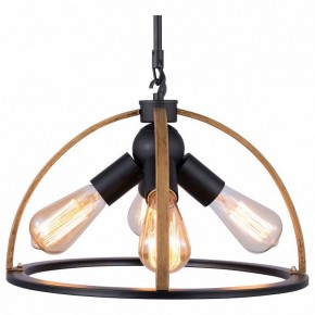 Подвесной светильник TopLight Jasmin TL1179H-04BK в Губахе - gubaha.ok-mebel.com | фото