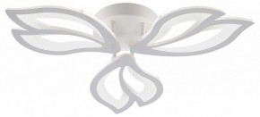 Потолочная люстра Natali Kovaltseva FORTUNA LED LAMPS 81107/2C в Губахе - gubaha.ok-mebel.com | фото