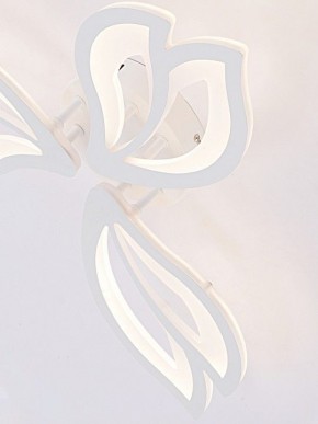 Потолочная люстра Natali Kovaltseva FORTUNA LED LAMPS 81107/2C в Губахе - gubaha.ok-mebel.com | фото 11