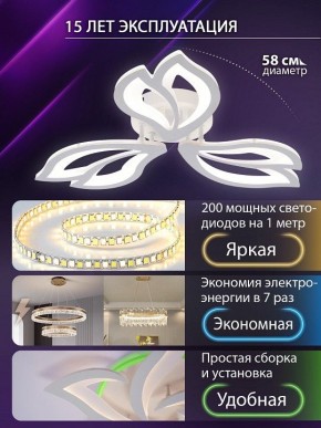 Потолочная люстра Natali Kovaltseva FORTUNA LED LAMPS 81107/2C в Губахе - gubaha.ok-mebel.com | фото 6