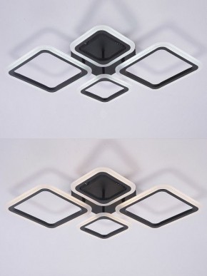 Потолочная люстра Natali Kovaltseva OPTI LED LAMPS 81108/2C в Губахе - gubaha.ok-mebel.com | фото 4