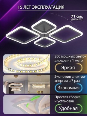 Потолочная люстра Natali Kovaltseva OPTI LED LAMPS 81108/2C в Губахе - gubaha.ok-mebel.com | фото 5