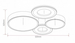 Потолочная люстра Rivoli Aliona Б0066451 в Губахе - gubaha.ok-mebel.com | фото 11