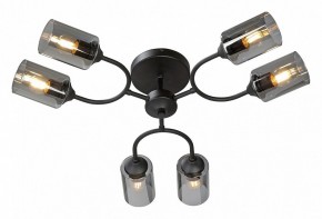 Потолочная люстра Vitaluce V2823 V2823-1/6PL в Губахе - gubaha.ok-mebel.com | фото 2