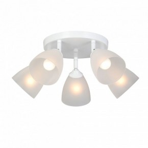 Потолочная люстра Vitaluce V4355 V4355-0/5PL в Губахе - gubaha.ok-mebel.com | фото 2
