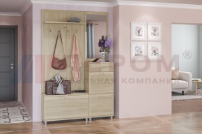 Прихожая Мелисса композиция 8 (Ясень Асахи) в Губахе - gubaha.ok-mebel.com | фото