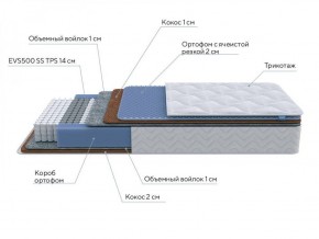 PROxSON Матрас Active Duo M/F (Ткань Трикотаж Эко) 120x190 в Губахе - gubaha.ok-mebel.com | фото 6