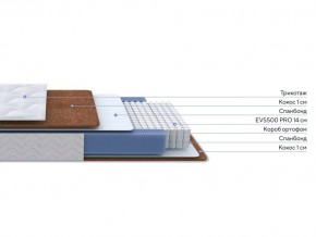 PROxSON Матрас Active F Roll (Ткань Трикотаж Эко) 80x200 в Губахе - gubaha.ok-mebel.com | фото 3