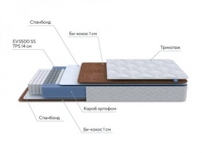 PROxSON Матрас Active F Roll (Ткань Трикотаж Эко) 120x190 в Губахе - gubaha.ok-mebel.com | фото 7