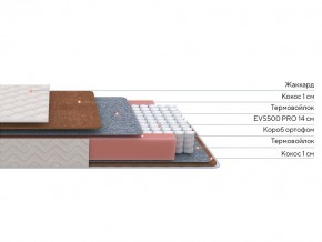 PROxSON Матрас Standart F Roll (Ткань Синтетический жаккард) 160x190 в Губахе - gubaha.ok-mebel.com | фото 2