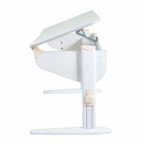 Растущая парта Дэми Parta 5/100 (Сут 46) в Губахе - gubaha.ok-mebel.com | фото 2