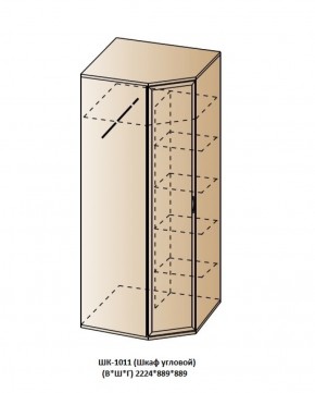 ШК-1011 (Шкаф угловой) в Губахе - gubaha.ok-mebel.com | фото