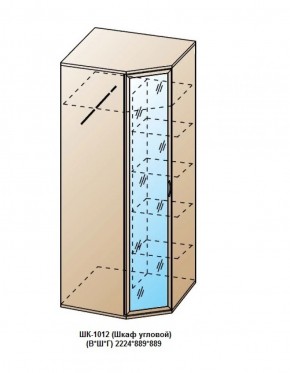 ШК-1012 (Шкаф угловой) в Губахе - gubaha.ok-mebel.com | фото
