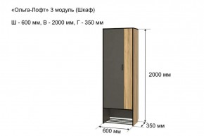 ОЛЬГА-ЛОФТ 3 Шкаф 2-х створчатый в Губахе - gubaha.ok-mebel.com | фото 4