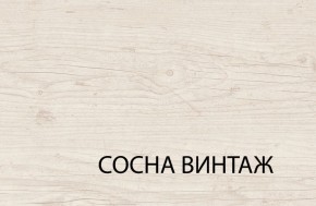 Шкаф 3DG2S, MAGELLAN, цвет Сосна винтаж в Губахе - gubaha.ok-mebel.com | фото 6