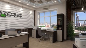 Шкаф для документов узкий "Референт" Р.П-1 в Губахе - gubaha.ok-mebel.com | фото 5