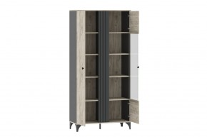 Шкаф комбинированный НМ 040.10 "Отис" в Губахе - gubaha.ok-mebel.com | фото 2