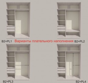 Шкаф-купе 1300 серии SILVER S1+S1+B2+PL2 (2 ящика+1 штанга+1 полка) профиль «Серебро» в Губахе - gubaha.ok-mebel.com | фото 6
