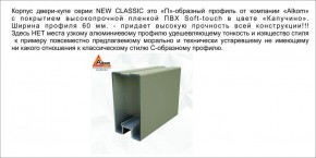 Шкаф-купе 1700 серии NEW CLASSIC K3+K3+B2+PL1 (2 ящика+1 штанга) профиль «Капучино» в Губахе - gubaha.ok-mebel.com | фото 5