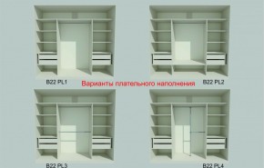 Шкаф-купе 2450 серии NEW CLASSIC K6Z+K1+K6+B22+PL2 (по 2 ящика лев/прав+1 штанга+1 полка) профиль «Капучино» в Губахе - gubaha.ok-mebel.com | фото 6