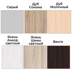 Шкаф-купе ХИТ 22-4-12/2-77 (420) в Губахе - gubaha.ok-mebel.com | фото 3