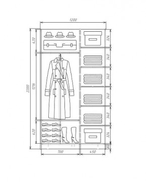 Шкаф-купе ХИТ 22-4-12-66 (420) в Губахе - gubaha.ok-mebel.com | фото 5